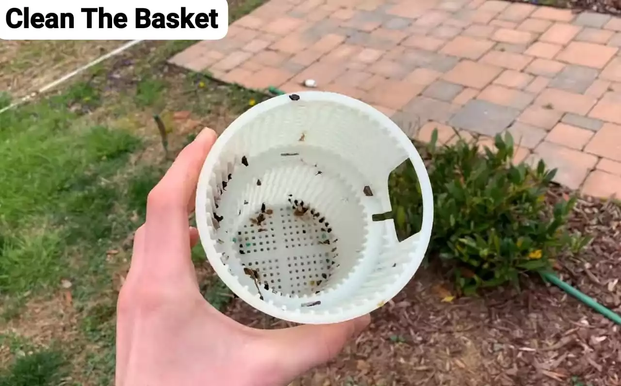 clean basket